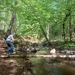 Charme Et Bien-etre Jacuzzi Et Nature Pres De * Durbuy