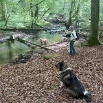 Charme Et Bien-etre Jacuzzi Et Nature Pres De Dağ evi