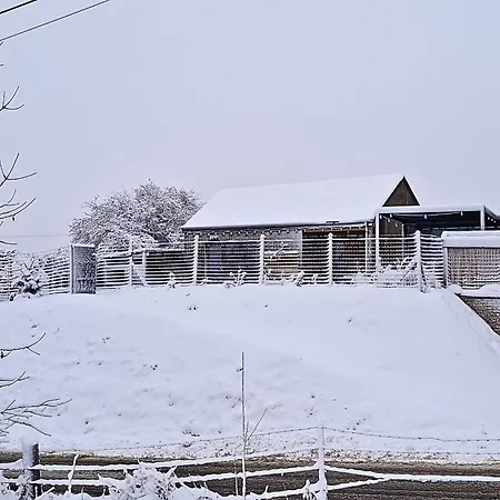 Neuf Avec Jacuzzi Et Jardin Privés - Chalet Durbuy
