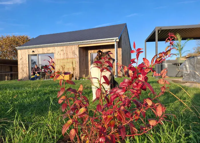 Neuf Avec Jacuzzi Et Jardin Privés - Durbuy