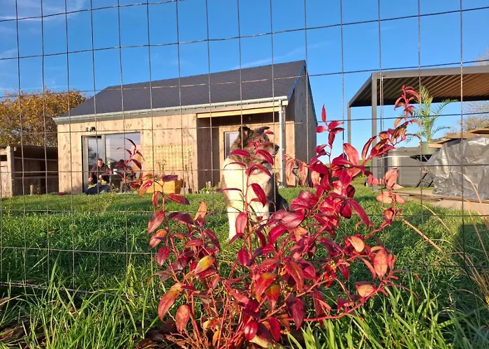 Neuf Avec Jacuzzi Et Jardin Privés - Durbuy