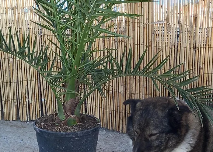 Charme Et Bien-etre Jacuzzi Et Nature Pres De Chalet
