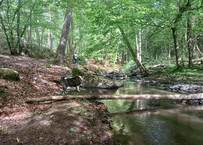 Charme Et Bien-etre Jacuzzi Et Nature Pres De Chalet