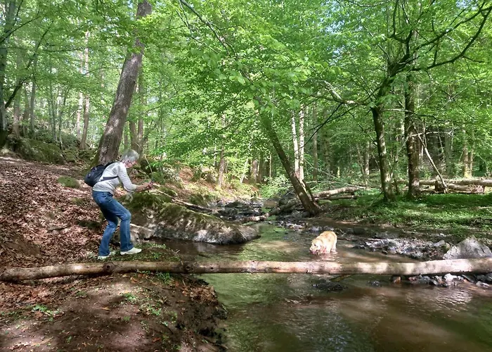 Charme Et Bien-etre Jacuzzi Et Nature Pres De * Durbuy