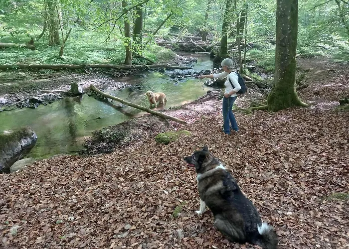 Charme Et Bien-etre Jacuzzi Et Nature Pres De Chalet